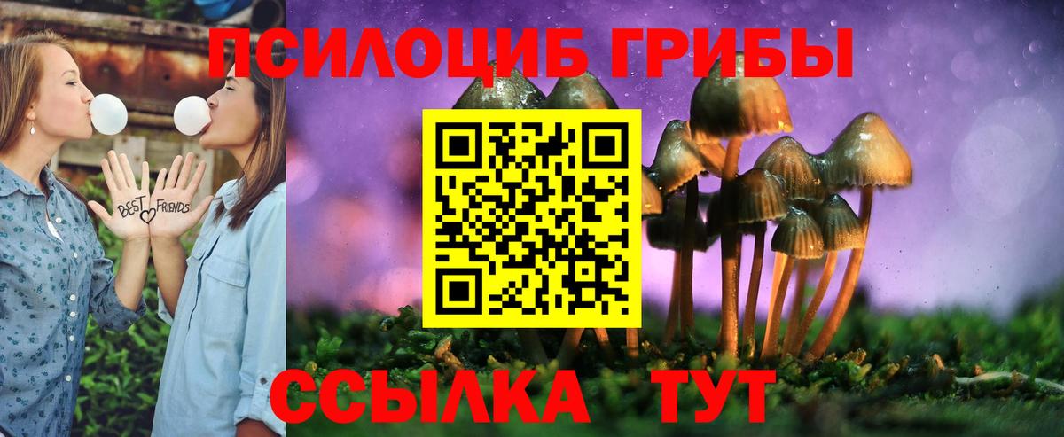 Псилоцибиновые грибы Psilocybe  Псилоцибиновые грибы Magic Shrooms  Вход с VPN  Майкоп 